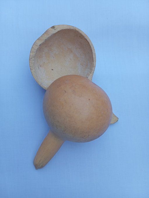 calebasse cuillère  lot x 2