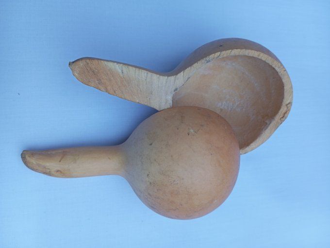 calebasse cuillère  lot x 2