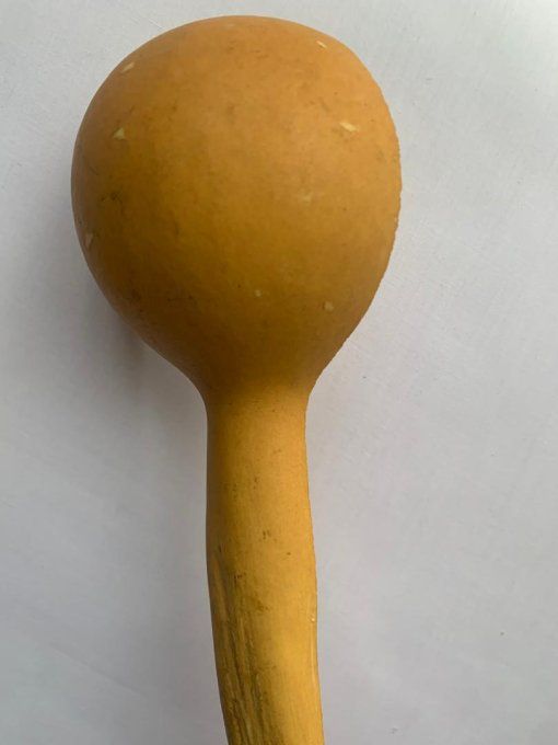 calebasse grande cuillère 
