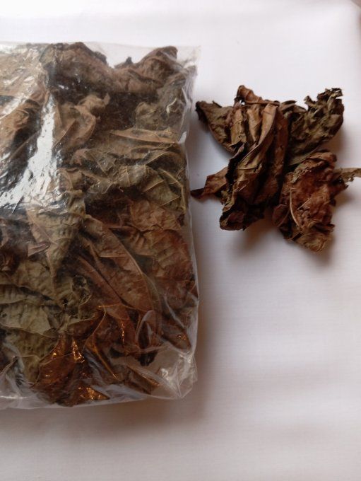 feuille djéka séché en vrac