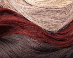 ESTHETIQUE